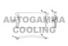 AUTOGAMMA 101604 Condenser, air conditioning